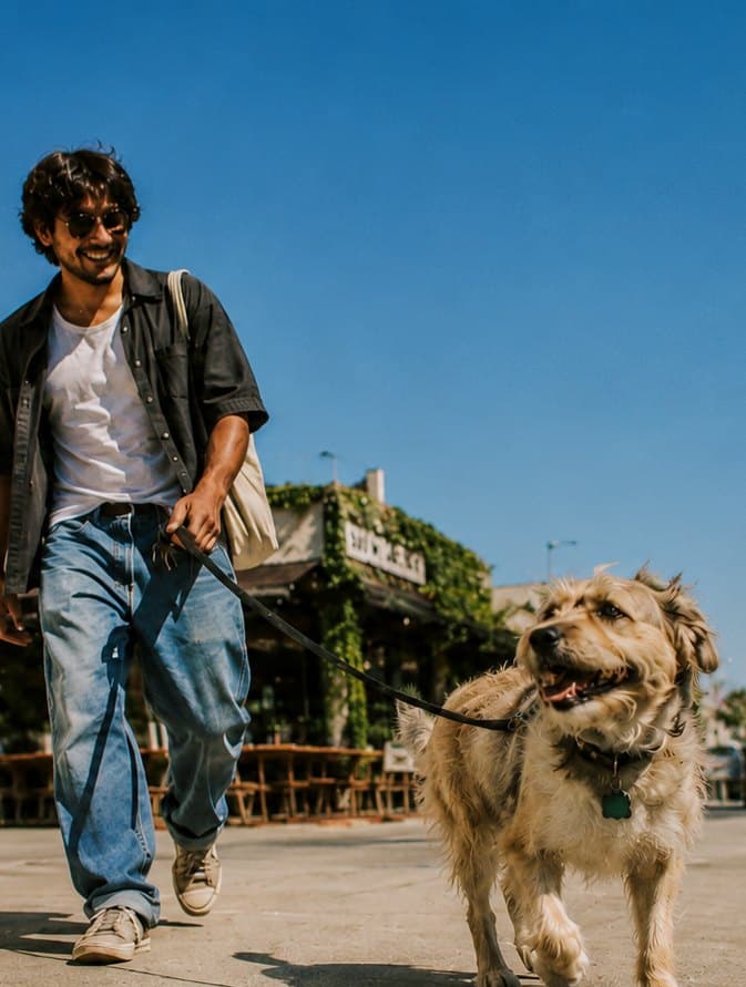 A man walking his shaggy dog down a sunny sidewalk on an amu leash
