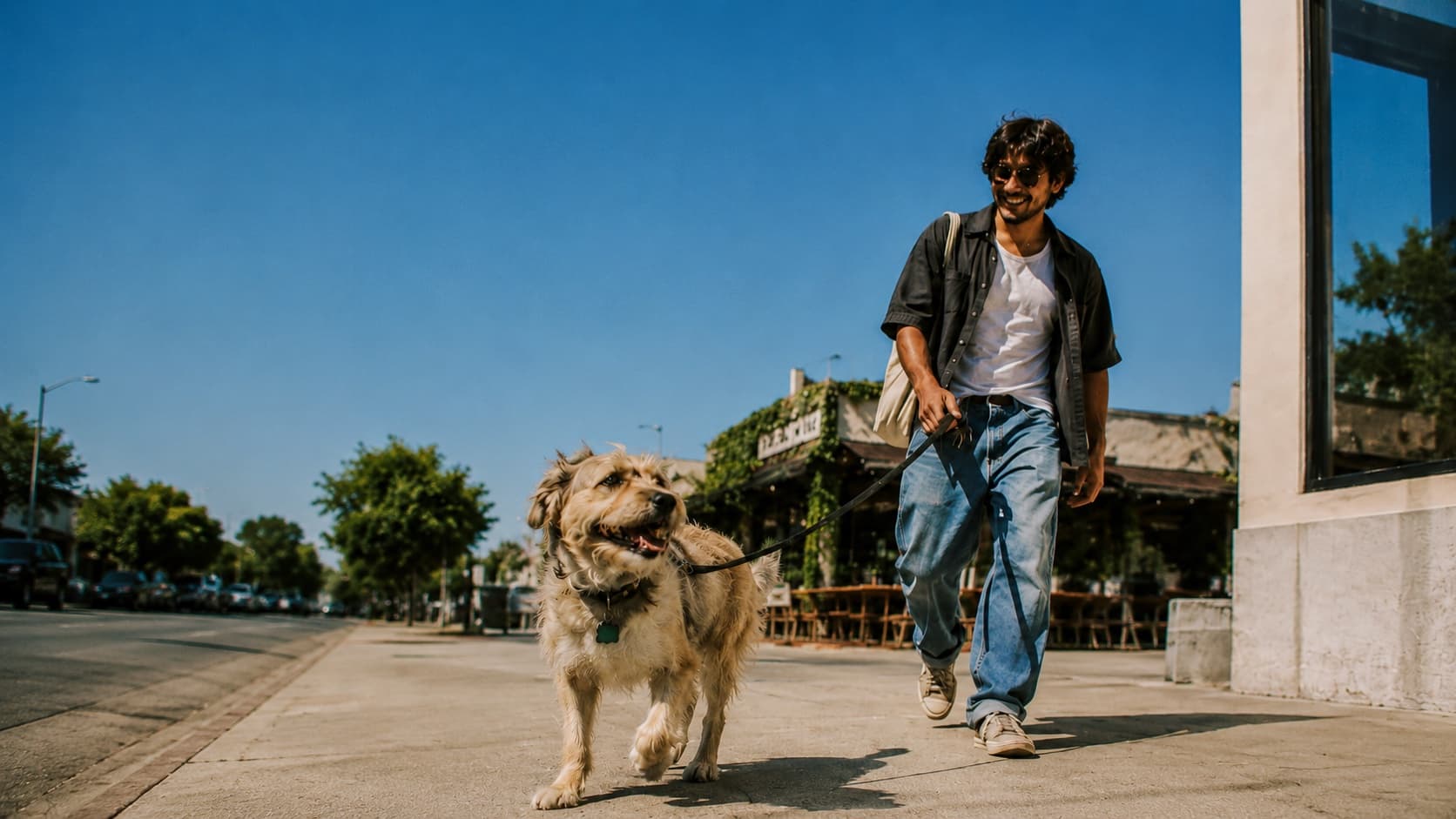 A man walking his shaggy dog down a sunny sidewalk on an amu leash